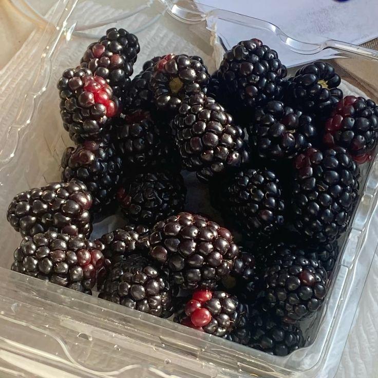 Garden Gems: Juicy Berries Plucked for Perfection